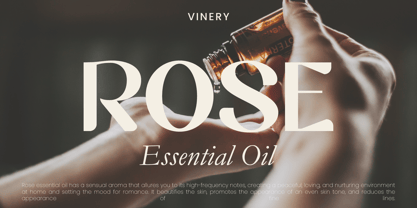 Vinery Font Poster 2
