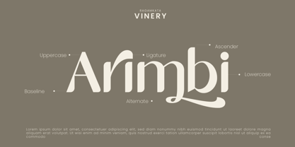 Vinery Font Poster 6