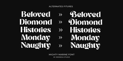 Mighty Marine Font Poster 11