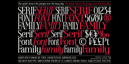 Enigmatica Font Poster 7