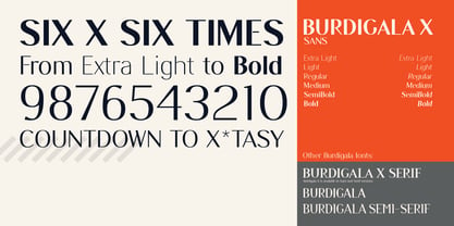 Burdigala X Sans Font Poster 5