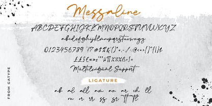 Messaline Font Poster 5