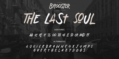 Brooster Font Poster 7