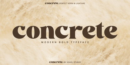 Concrete Thick Font Poster 1