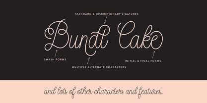 Bundt Cake Font Poster 1