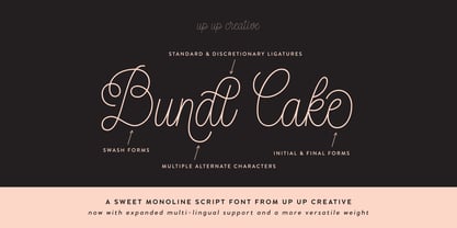 Bundt Cake Font Poster 1