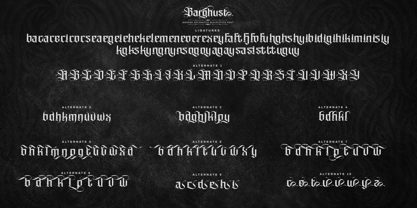 Barghust Font Poster 11