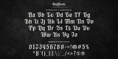 Barghust Font Poster 10