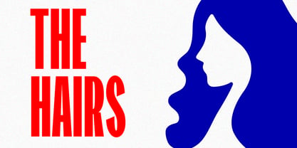 Reprizo Condensed Sans Display Font Police Poster 2