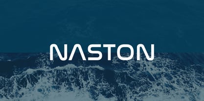 Naston Fuente Póster 1