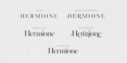 Hermione Font Poster 10