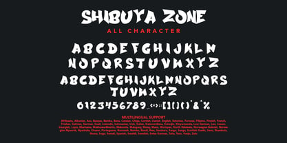 Shibuya Zone Font Poster 8