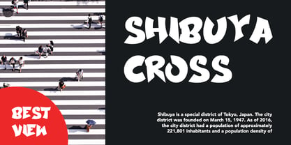 Shibuya Zone Font Poster 7