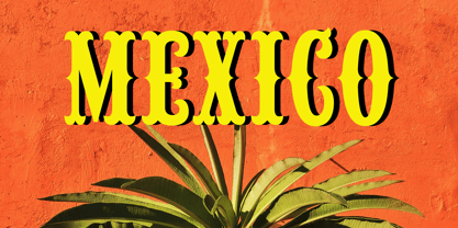 Tijuana Taco Font Poster 2