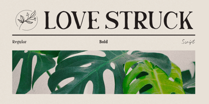 Love Struck Font Poster 4