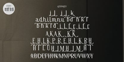 Adigul Font Poster 12