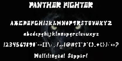 Panther Fighter Font Poster 6