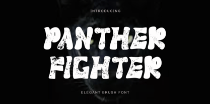 Panther Fighter Font Poster 1
