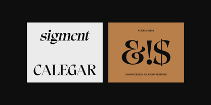 Calegar Font Poster 4