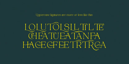 Alpinecia Font Poster 11