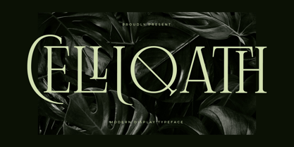 Celliqath Font Poster 1