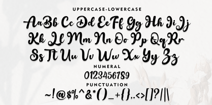 Black Stay Script Font Poster 7