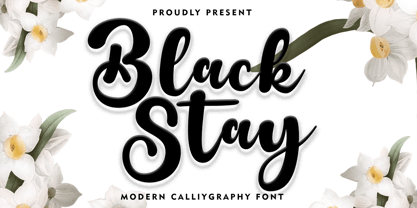 Black Stay Script Font Poster 1
