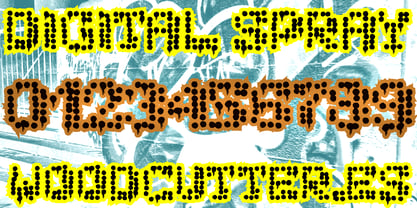 Digital Spray Font Poster 6