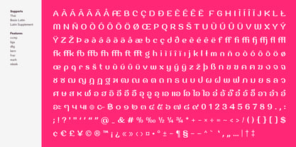 Jella Font Poster 9