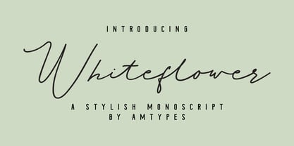 Whiteflower Font Poster 8