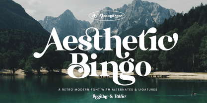 Aesthetic Bingo Font Poster 1