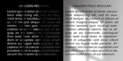 Molden Italic Font Poster 6