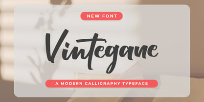 Vintegane Font Poster 1