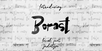 Borast Font Poster 1