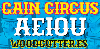 Gain Circus Font Poster 5