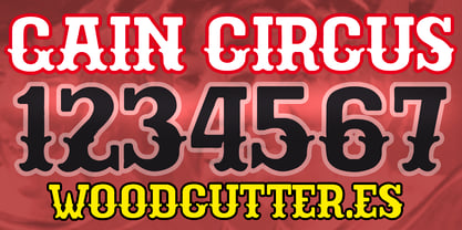 Gain Circus Font Poster 6