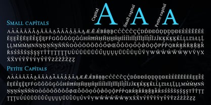 Manas VF Font Poster 4