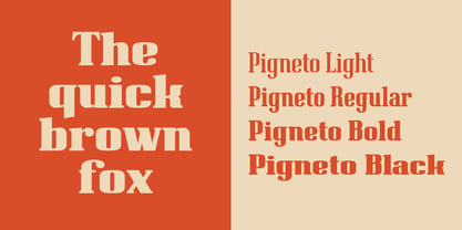Pigneto Font Poster 2