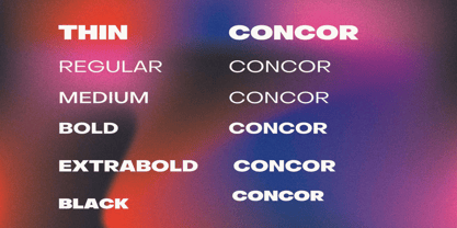 Concor Family Font Poster 3