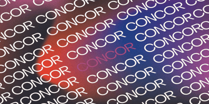 Concor Family Font Poster 4