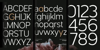 Articulo Font Poster 14