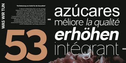 Articulo Font Poster 6