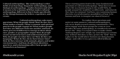 Hucks Serif Font Poster 11