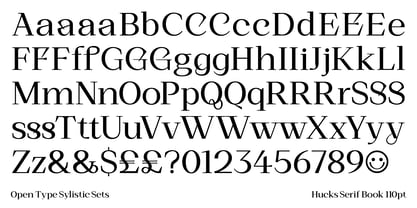 Hucks Serif Font Poster 10