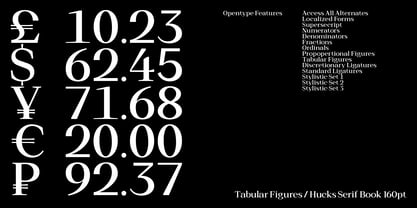 Hucks Serif Font Poster 12