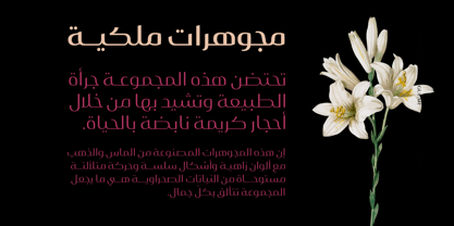 Layla pro Arabic Font Poster 10
