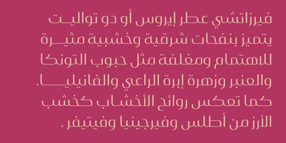 Layla pro Arabic Font Poster 6