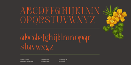 Ager Font Poster 6