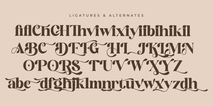 Mogilte Font | Webfont & Desktop | MyFonts