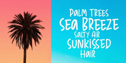 Palm Beach Font Poster 8